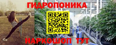 соль ск Будённовск