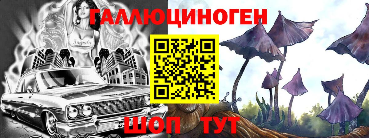 Евпатория  Галлюциногенные грибы ЛСД  Вход с VPN  Псилоцибиновые грибы Psilocybe 